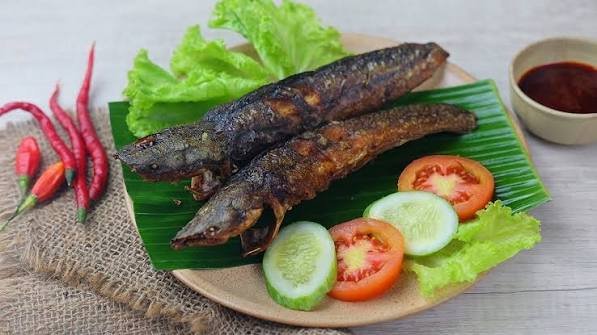 Lele Bakar/Goreng (2)